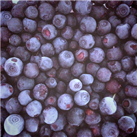 Fresh Picked Blueberry* FO 309